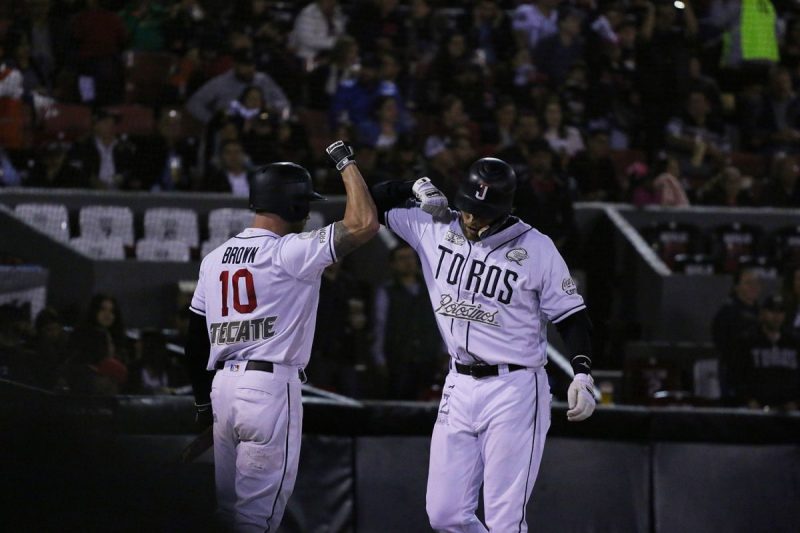 Toros-Sultanes
