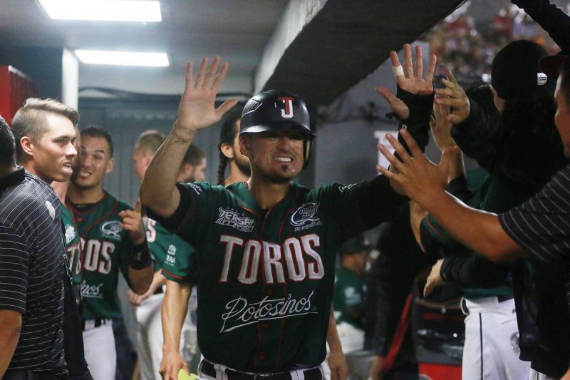 Toros-Sultanes