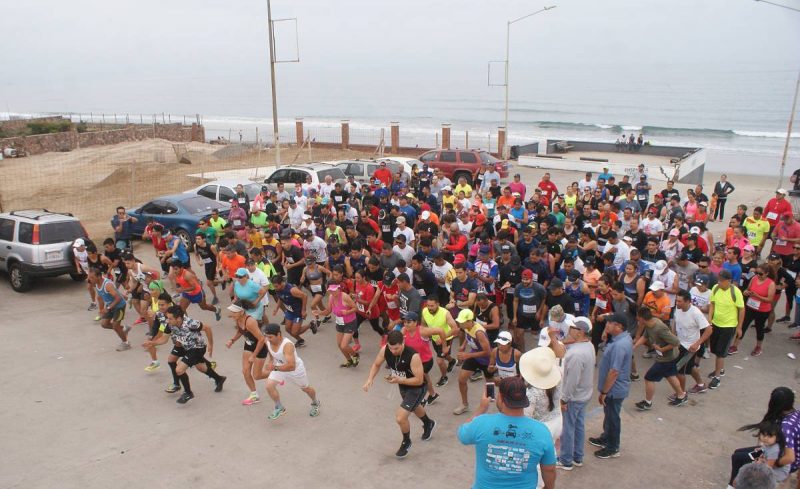 Brenda Rocha-Carrera