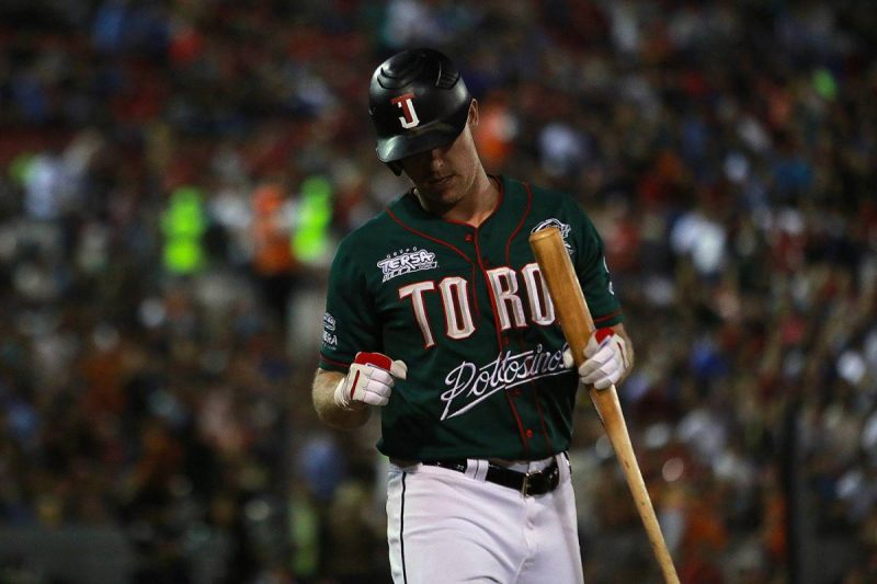 Toros-Sultanes