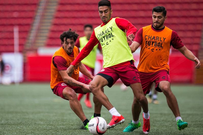 Xolos