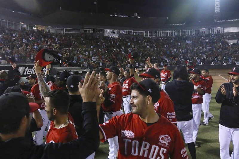 Toros