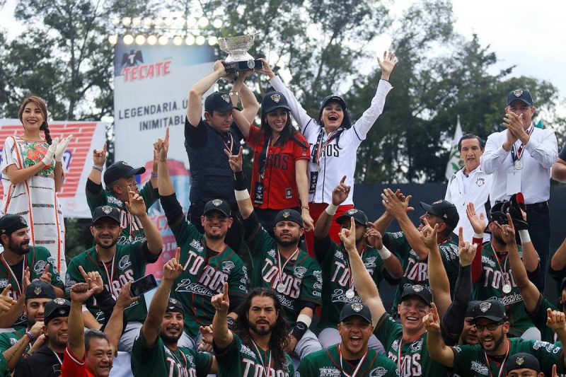 Toros campeones