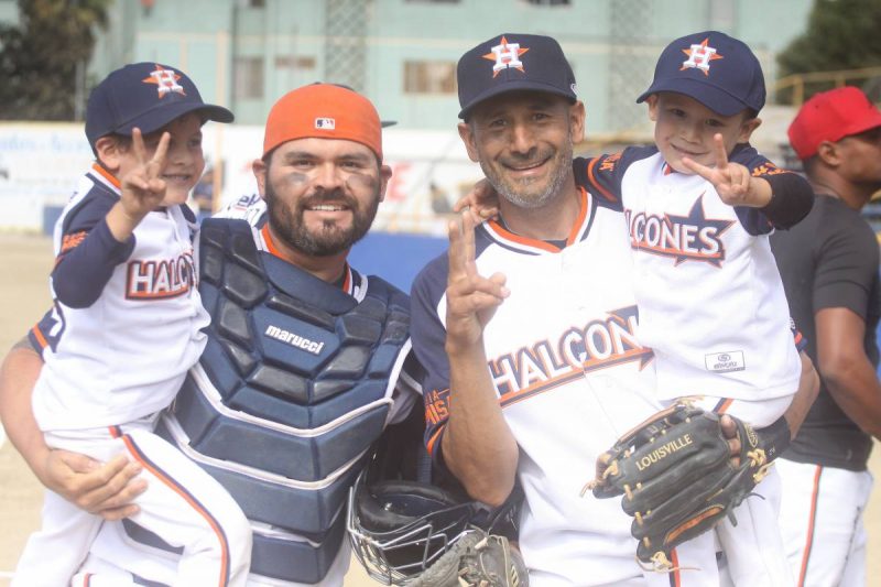 Halcones
