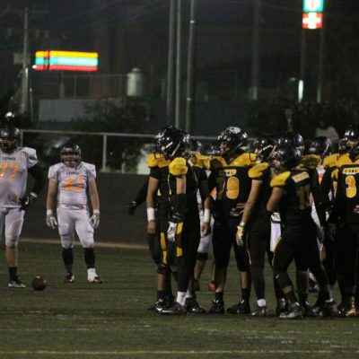 Zorros-Leones