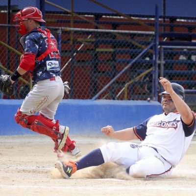 Halcones