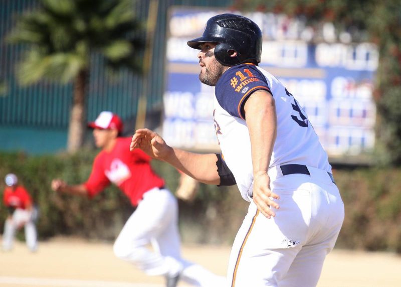 Halcones