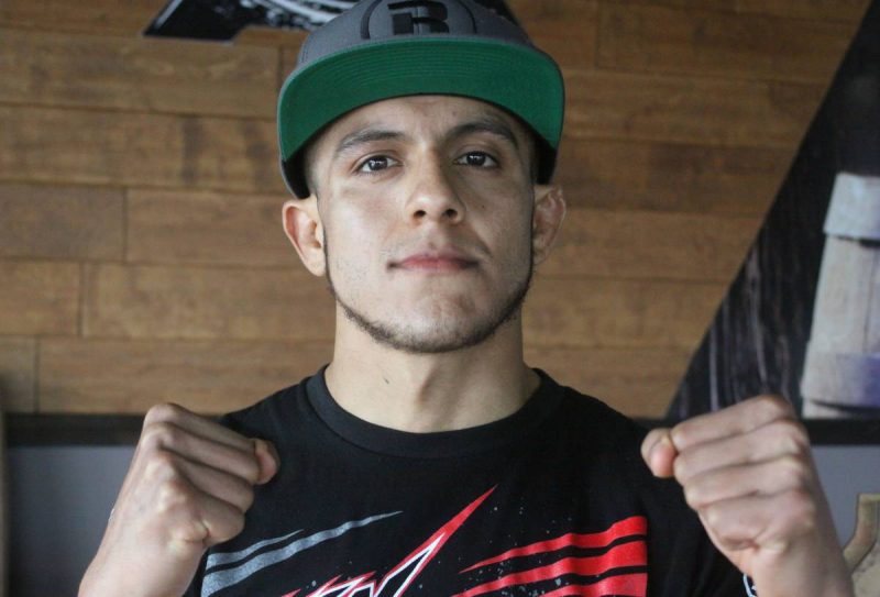 Stallion Ibarra