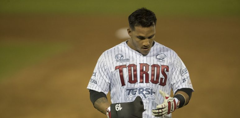 Toros