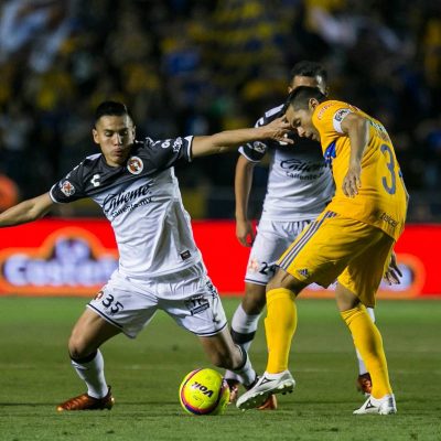 XOLOS TIGRES