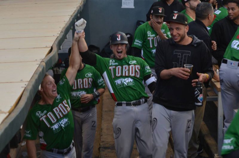 Toros