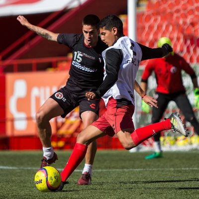 Xolos