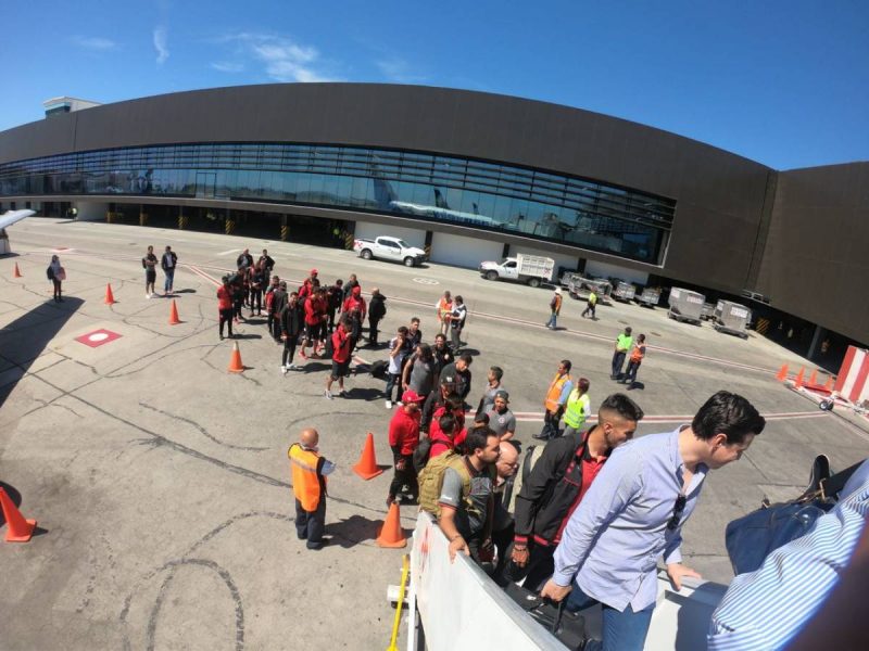 Xolos