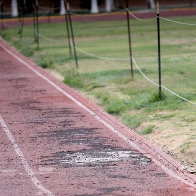 Pista