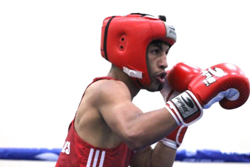 boxerobles1