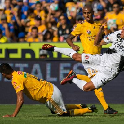 Tigres-Xolos