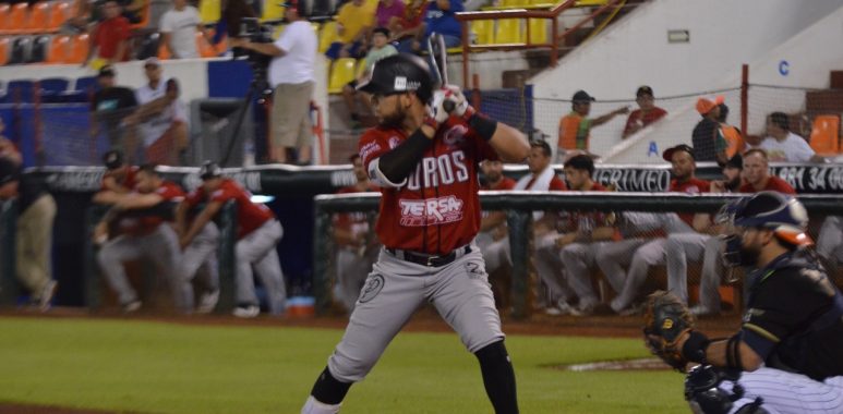 Toros
