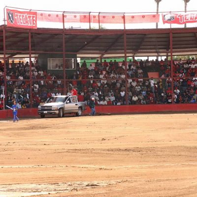 Estatal beisbol 2014 (10)