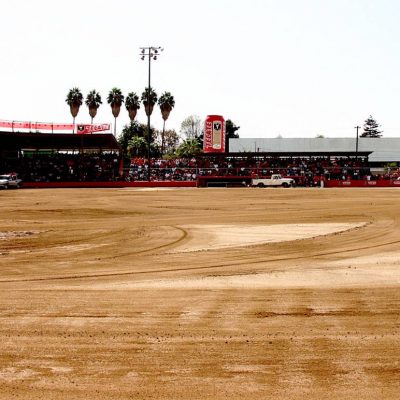 Estatal beisbol 2014 (11)