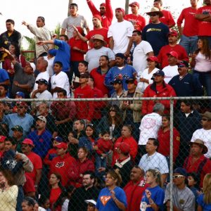 Estatal beisbol 2014 (140)