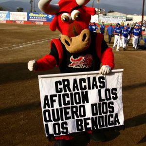 Estatal beisbol 2014 (148)