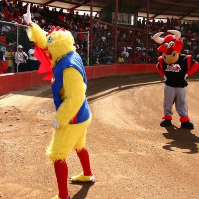 Estatal beisbol 2014 (16)