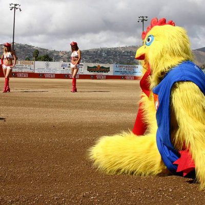 Estatal beisbol 2014 (17)