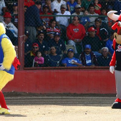 Estatal beisbol 2014 (19)