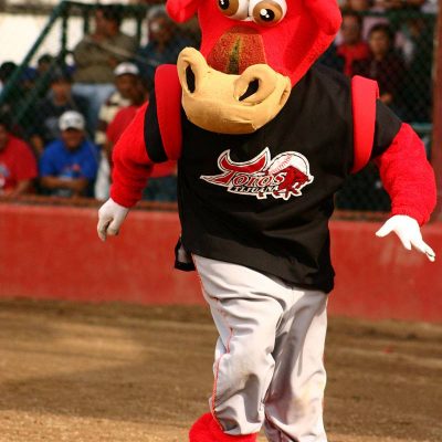 Estatal beisbol 2014 (40)