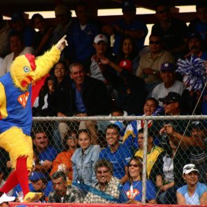 Estatal beisbol 2014 (44)