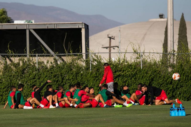 Xolos