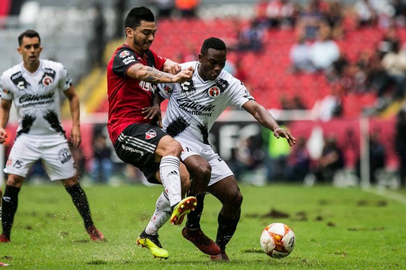 Xolos