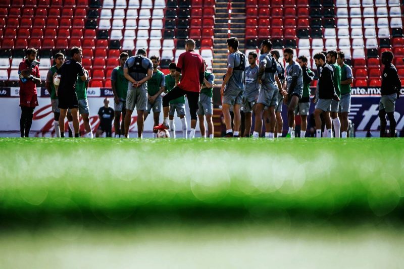 Xolos