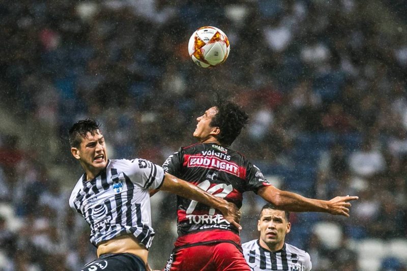 Xolos