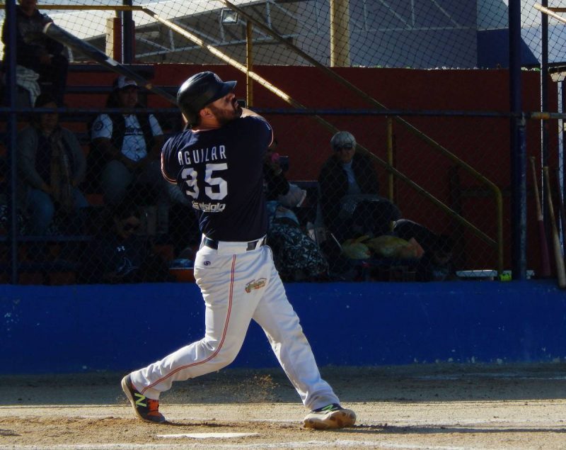 Halcones