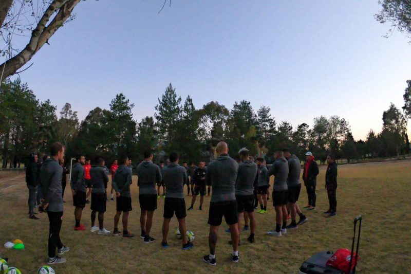 Xolos
