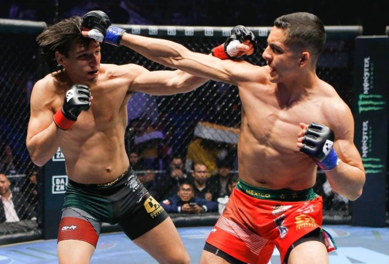 52117939_2283714445021353_2602054302184767488_o