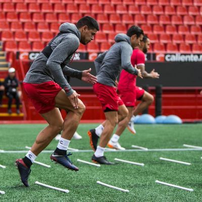 Xolos