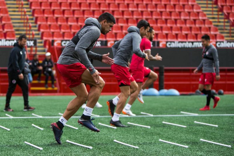 Xolos