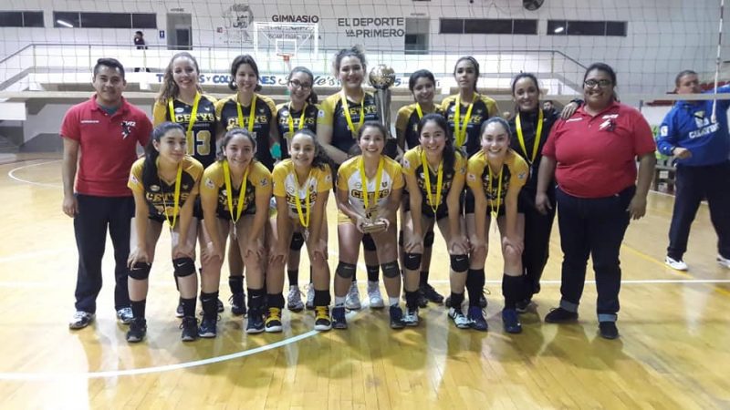 volei 5
