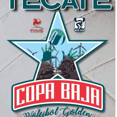 Voleibol