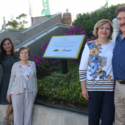 Placa 1