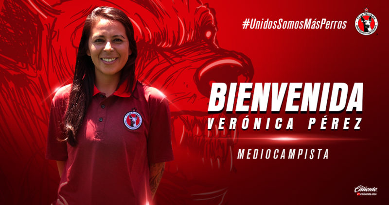 vero1_ap2019
