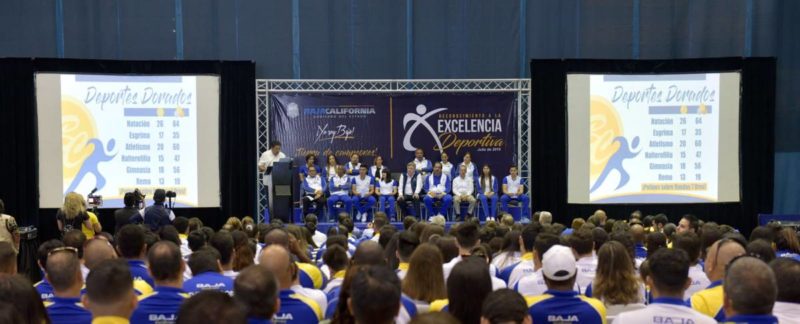DEEXCELENCIA (1)