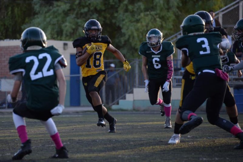 72394343_404762436889580_6383680183479566336_n