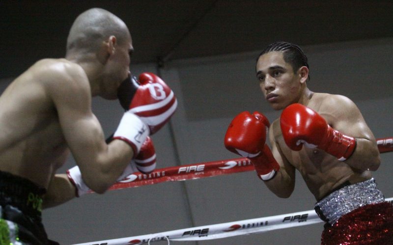 Mini-Pollo-e1492645055301