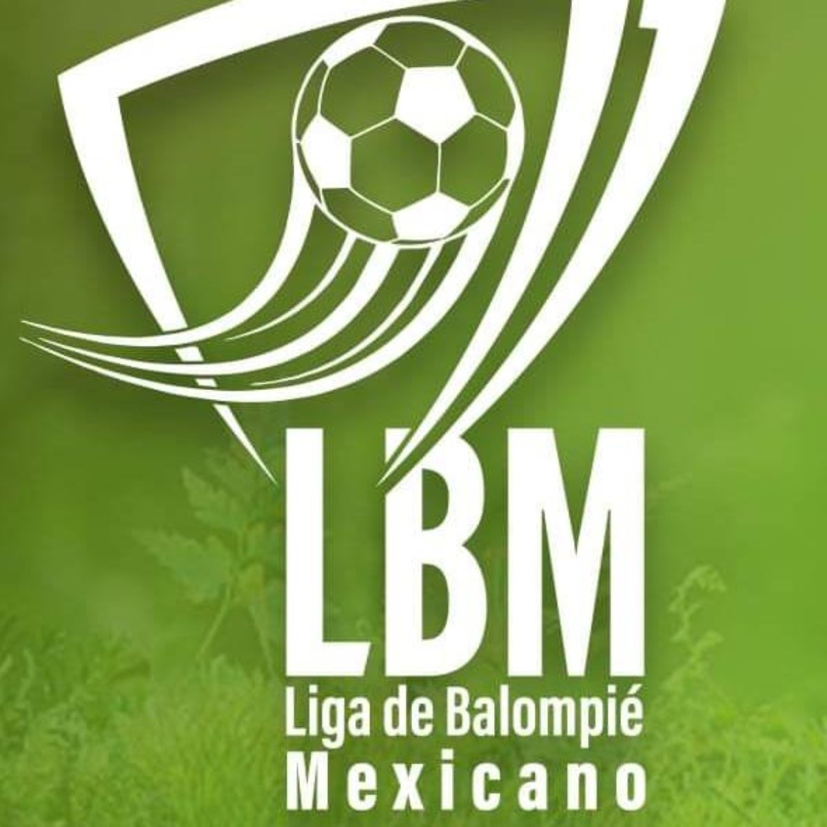 whatsapp_image_2020-06-04_at_3_36_20_pm_crop1591306700739.jpeg_423682103