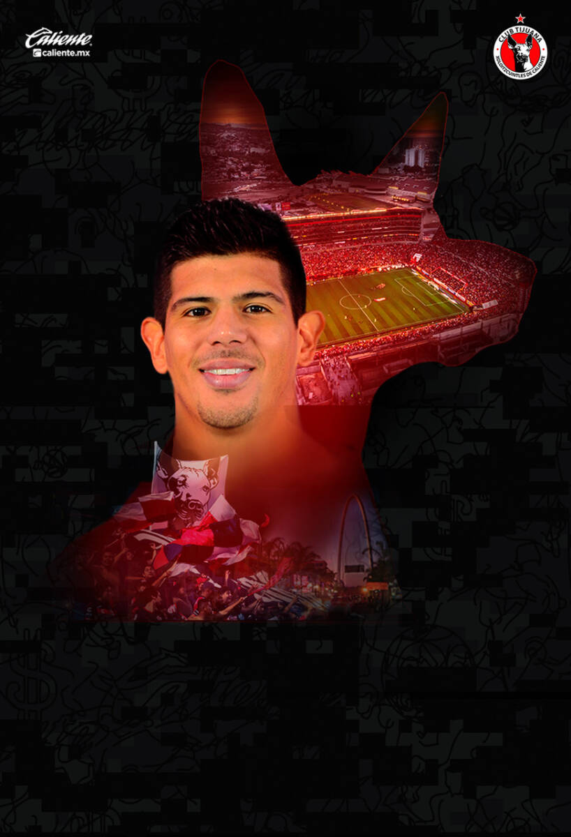 BIENVENIDO PAVEZ-LISA