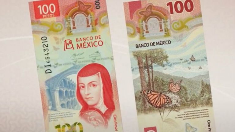 billete-pesos-presentado-alejandro-diaz_0_48_1201_748