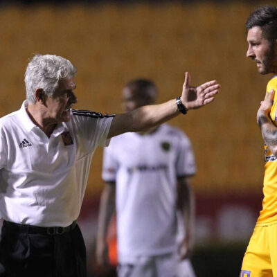 tigres